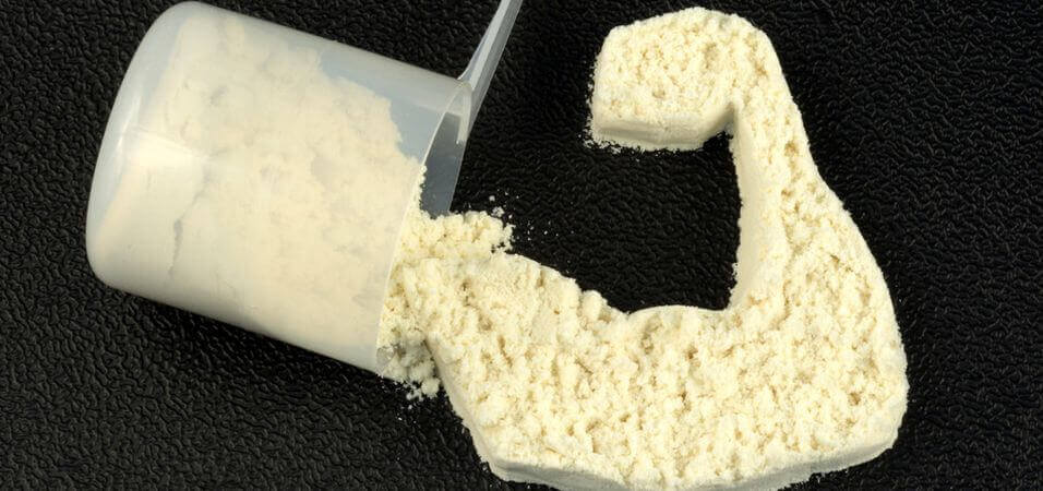 how to find the best protein powder